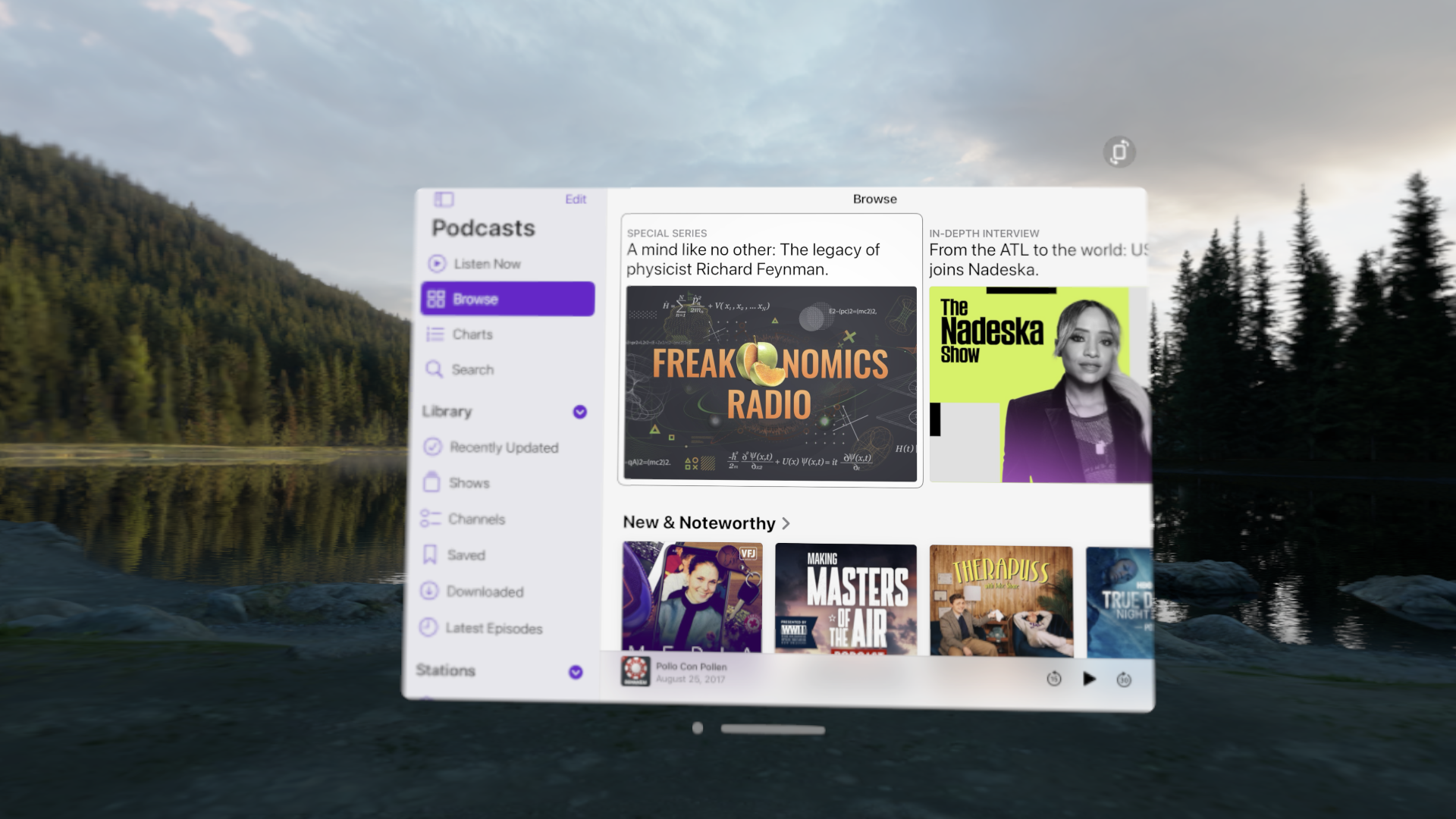 A screenshot of Apple Podcasts, a compatible iPad app, running on visionOS. Black text shows on a opaque white background. All controls are confined to a single rectangle. A sidebar shows available views while the content shows in the right 2/3 of the window. A toolbar shows at the bottom of the window with player controls.